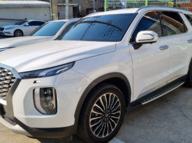 Hyundai Palisade (Calligraphy)