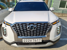 Hyundai Palisade (Calligraphy)